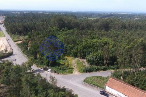 Helårsgrund i Ovar, Aveiro, Ovar - € 400.000 | Ref: 184601 - foto 9