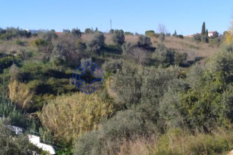 Helårsgrund i Tomar, Santarem, Tomar - € 290.000 | Ref: 195401 - foto 27