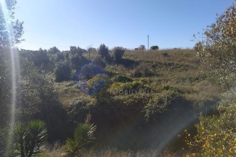 Helårsgrund i Tomar, Santarem, Tomar - € 290.000 | Ref: 195401 - foto 29