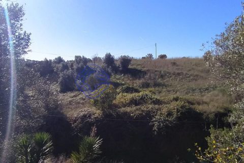 Helårsgrund i Tomar, Santarem, Tomar - € 290.000 | Ref: 195401 - foto 30