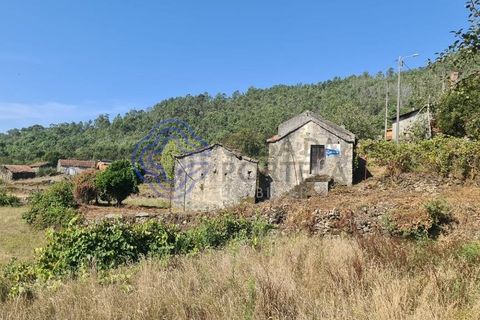 Landejendom i Sever do Vouga, Aveiro, Sever do Vouga - € 50.000 | Ref: 189991 - foto 2