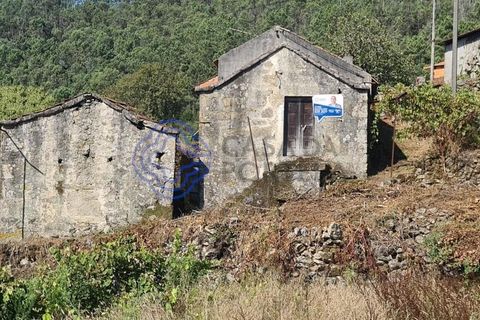 Landejendom i Sever do Vouga, Aveiro, Sever do Vouga - € 50.000 | Ref: 189991 - foto 3