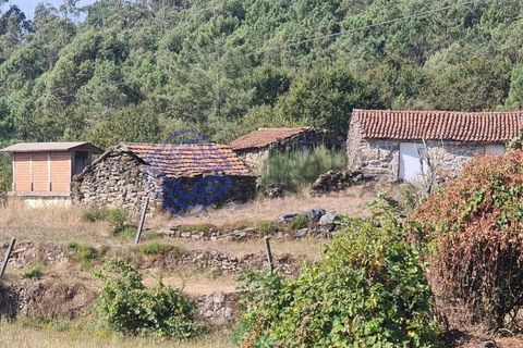 Landejendom i Sever do Vouga, Aveiro, Sever do Vouga - € 50.000 | Ref: 189991 - foto 4