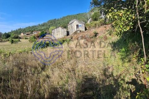Landejendom i Sever do Vouga, Aveiro, Sever do Vouga - € 50.000 | Ref: 189991 - foto 6