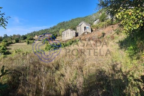 Landejendom i Sever do Vouga, Aveiro, Sever do Vouga - € 50.000 | Ref: 189991 - foto 7