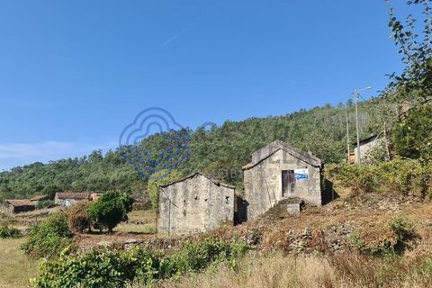 Landejendom i Sever do Vouga, Aveiro, Sever do Vouga - € 50.000 | Ref: 189991 - foto 8