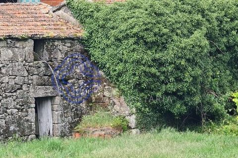 Landejendom i Sever do Vouga, Aveiro, Sever do Vouga - € 50.000 | Ref: 189991 - foto 10