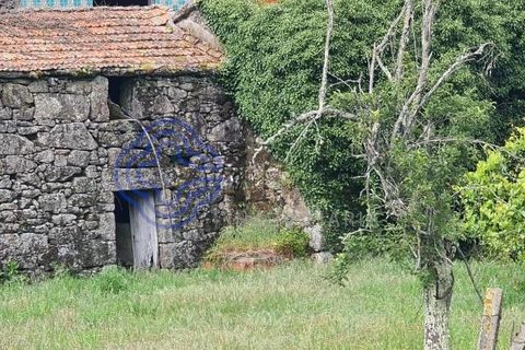 Landejendom i Sever do Vouga, Aveiro, Sever do Vouga - € 50.000 | Ref: 189991 - foto 11