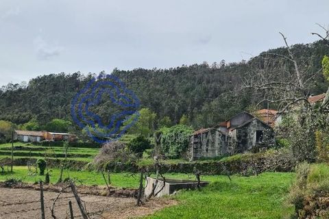 Landejendom i Sever do Vouga, Aveiro, Sever do Vouga - € 50.000 | Ref: 189991 - foto 13