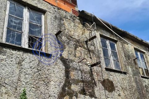 Landejendom i Sever do Vouga, Aveiro, Sever do Vouga - € 50.000 | Ref: 189991 - foto 15