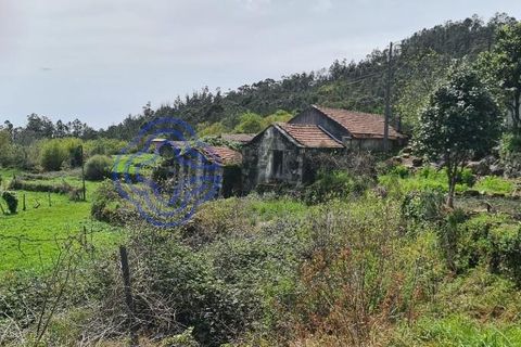 Landejendom i Sever do Vouga, Aveiro, Sever do Vouga - € 50.000 | Ref: 189991 - foto 18