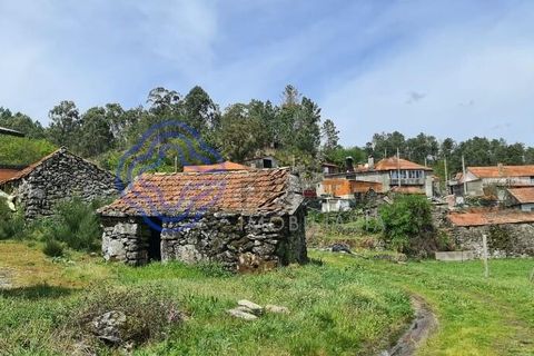 Landejendom i Sever do Vouga, Aveiro, Sever do Vouga - € 50.000 | Ref: 189991 - foto 19