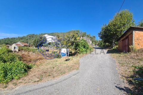 Landejendom i Sever do Vouga, Aveiro, Sever do Vouga - € 50.000 | Ref: 189991 - foto 21