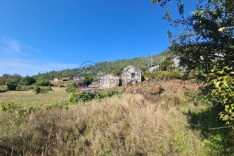 Landejendom i Sever do Vouga, Aveiro, Sever do Vouga - € 50.000 | Ref: 189991 - foto 22