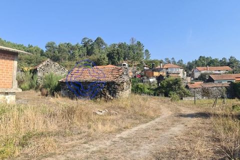 Landejendom i Sever do Vouga, Aveiro, Sever do Vouga - € 50.000 | Ref: 189991 - foto 25