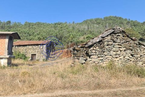 Landejendom i Sever do Vouga, Aveiro, Sever do Vouga - € 50.000 | Ref: 189991 - foto 26