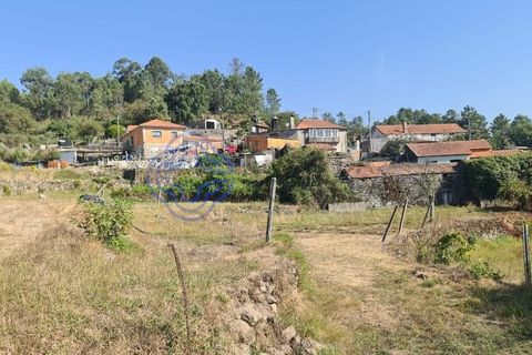 Landejendom i Sever do Vouga, Aveiro, Sever do Vouga - € 50.000 | Ref: 189991 - foto 27