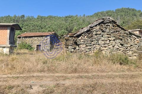 Landejendom i Sever do Vouga, Aveiro, Sever do Vouga - € 50.000 | Ref: 189991 - foto 28