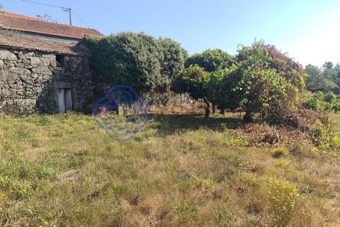 Landejendom i Sever do Vouga, Aveiro, Sever do Vouga - € 50.000 | Ref: 189991 - foto 31