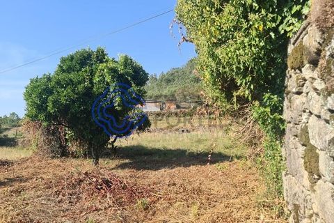 Landejendom i Sever do Vouga, Aveiro, Sever do Vouga - € 50.000 | Ref: 189991 - foto 32