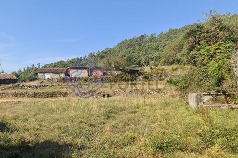 Landejendom i Sever do Vouga, Aveiro, Sever do Vouga - € 50.000 | Ref: 189991 - foto 33