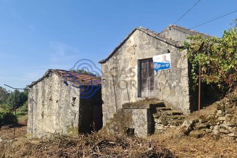 Landejendom i Sever do Vouga, Aveiro, Sever do Vouga - € 50.000 | Ref: 189991 - foto 34