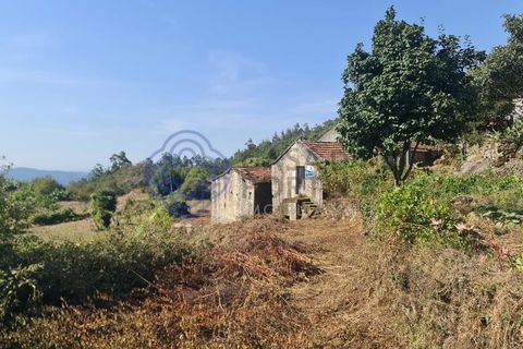 Landejendom i Sever do Vouga, Aveiro, Sever do Vouga - € 50.000 | Ref: 189991 - foto 35