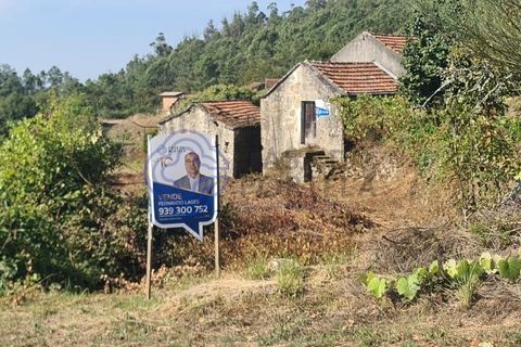 Landejendom i Sever do Vouga, Aveiro, Sever do Vouga - € 50.000 | Ref: 189991 - foto 37