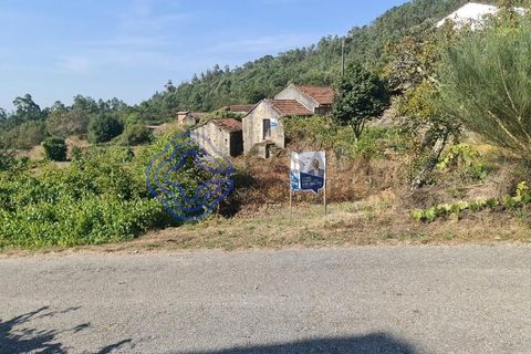 Landejendom i Sever do Vouga, Aveiro, Sever do Vouga - € 50.000 | Ref: 189991 - foto 38