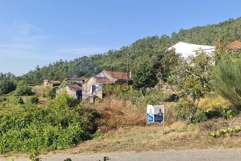 Landejendom i Sever do Vouga, Aveiro, Sever do Vouga - € 50.000 | Ref: 189991 - foto 39