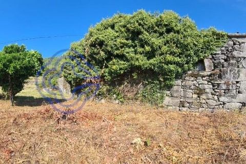 Landejendom i Sever do Vouga, Aveiro, Sever do Vouga - € 50.000 | Ref: 189991 - foto 40