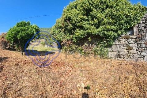 Landejendom i Sever do Vouga, Aveiro, Sever do Vouga - € 50.000 | Ref: 189991 - foto 41