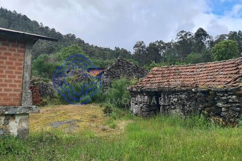 Landejendom i Sever do Vouga, Aveiro, Sever do Vouga - € 50.000 | Ref: 189991 - foto 45