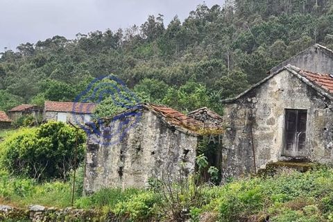 Landejendom i Sever do Vouga, Aveiro, Sever do Vouga - € 50.000 | Ref: 189991 - foto 46