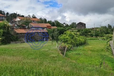 Landejendom i Sever do Vouga, Aveiro, Sever do Vouga - € 50.000 | Ref: 189991 - foto 47