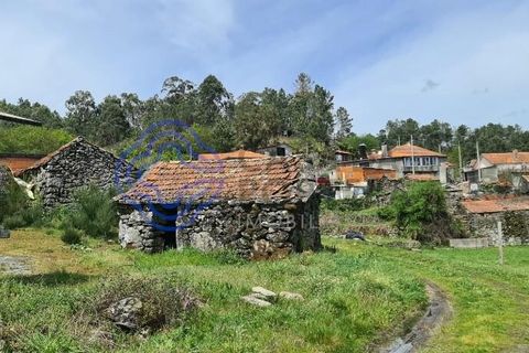 Landejendom i Sever do Vouga, Aveiro, Sever do Vouga - € 50.000 | Ref: 189991 - foto 48