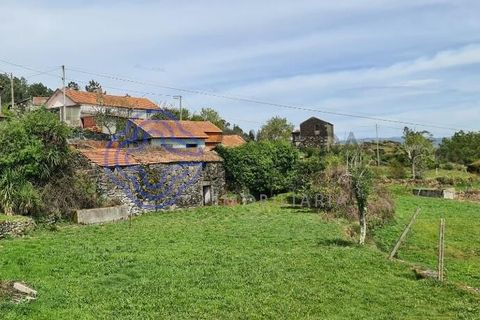 Landejendom i Sever do Vouga, Aveiro, Sever do Vouga - € 50.000 | Ref: 189991 - foto 49