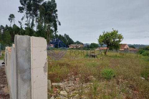 Helårsgrund i Ovar, Aveiro, Ovar - € 87.000 | Ref: 187591 - foto 5