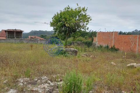Helårsgrund i Ovar, Aveiro, Ovar - € 87.000 | Ref: 187591 - foto 8