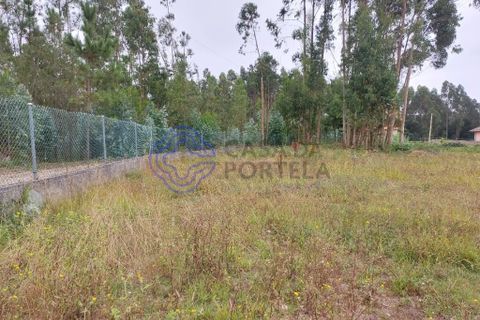 Helårsgrund i Ovar, Aveiro, Ovar - € 87.000 | Ref: 187591 - foto 15