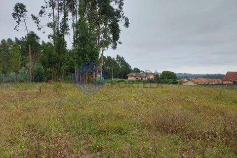 Helårsgrund i Ovar, Aveiro, Ovar - € 87.000 | Ref: 187591 - foto 16