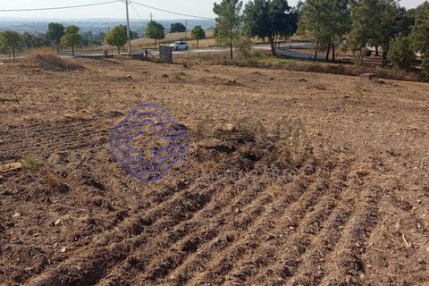 Helårsgrund i Tomar, Santarem, Tomar - € 125.000 | Ref: 196571 - foto 1