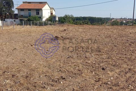 Helårsgrund i Tomar, Santarem, Tomar - € 125.000 | Ref: 196571 - foto 2