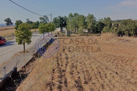 Helårsgrund i Tomar, Santarem, Tomar - € 125.000 | Ref: 196571 - foto 3