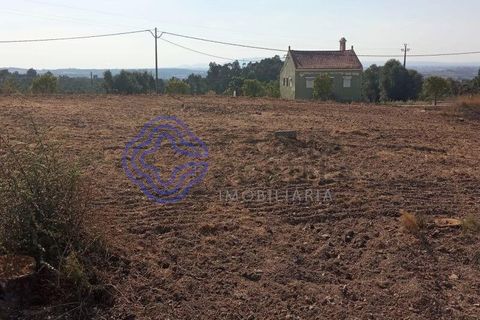 Helårsgrund i Tomar, Santarem, Tomar - € 125.000 | Ref: 196571 - foto 5