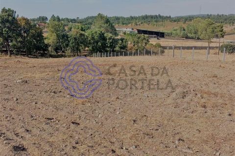 Helårsgrund i Tomar, Santarem, Tomar - € 125.000 | Ref: 196571 - foto 6