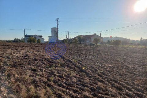 Helårsgrund i Tomar, Santarem, Tomar - € 125.000 | Ref: 196571 - foto 7