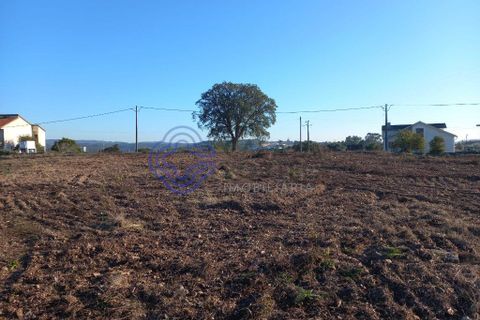 Helårsgrund i Tomar, Santarem, Tomar - € 125.000 | Ref: 196571 - foto 8