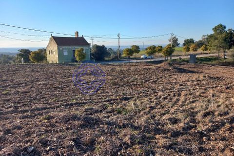 Helårsgrund i Tomar, Santarem, Tomar - € 125.000 | Ref: 196571 - foto 9