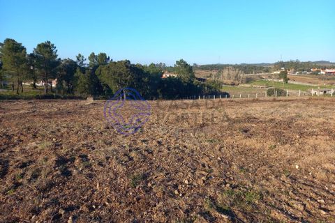 Helårsgrund i Tomar, Santarem, Tomar - € 125.000 | Ref: 196571 - foto 10